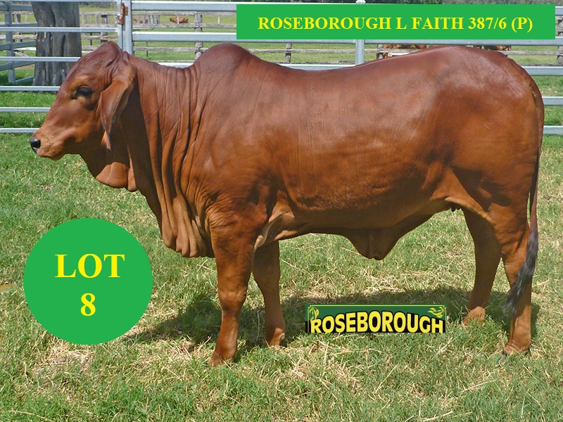 LRW387F LOT8