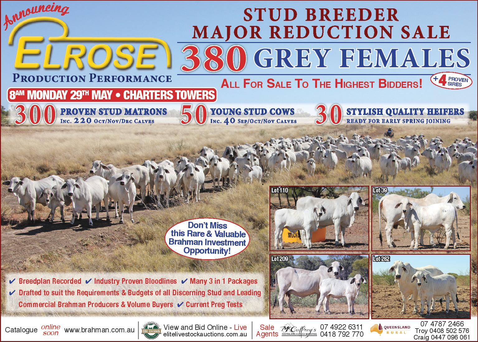 elrose add