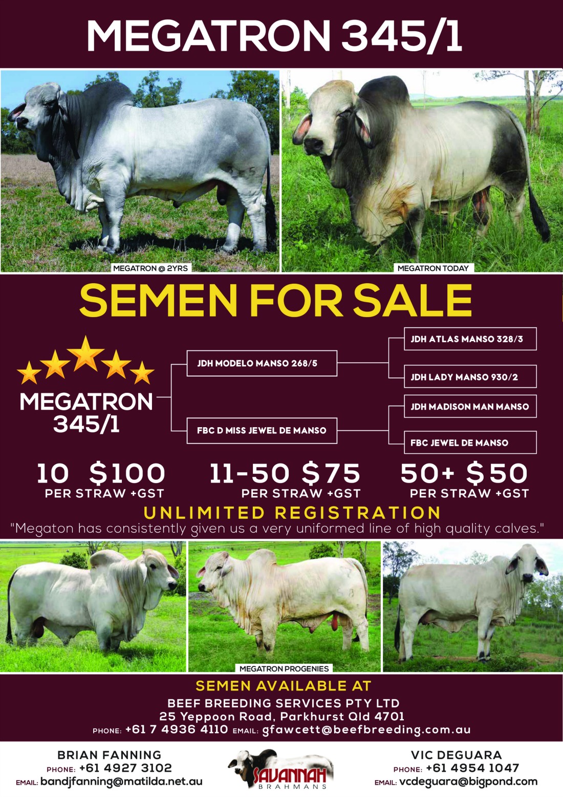 Megatron Semen for Sale Flyer 01