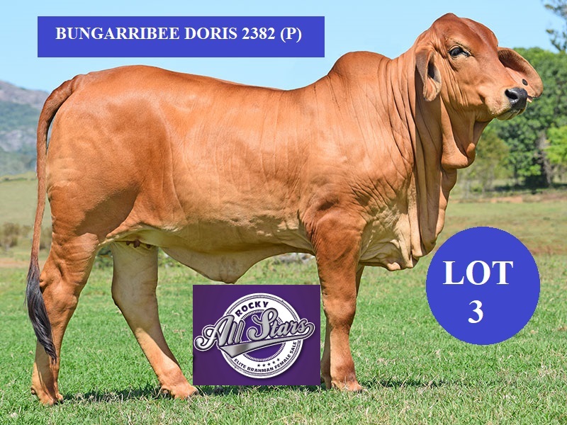 LOT3