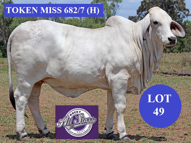 lot 49