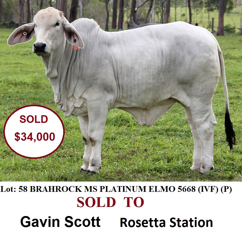BRK5668F LOT 58