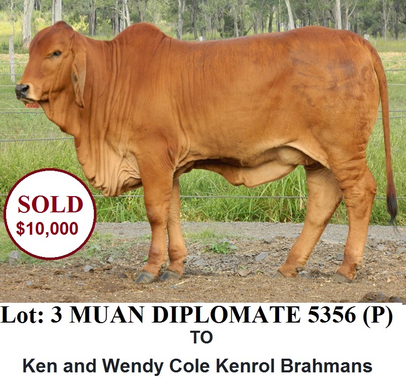 MUA5356F LOT 3