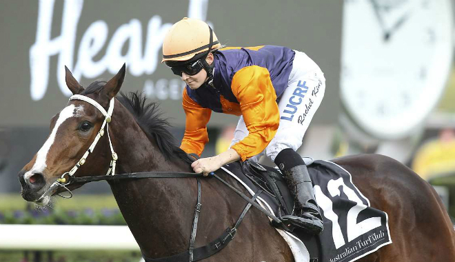 nettoyer randwick10617 660x380bradley