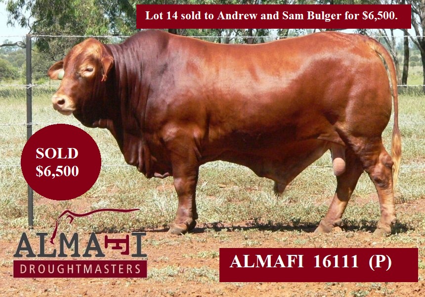 Lot 14 ad THANK