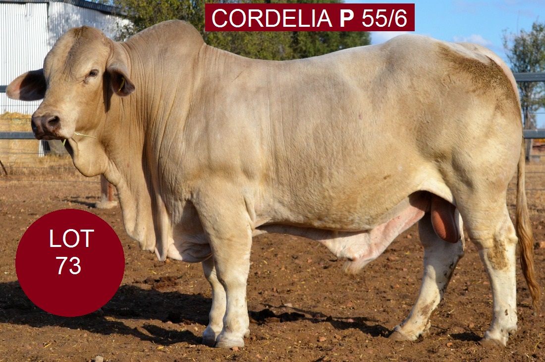 Lot73