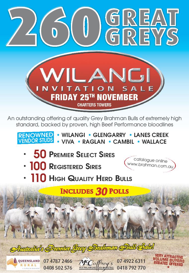 Wilangi Sale Poster page 001