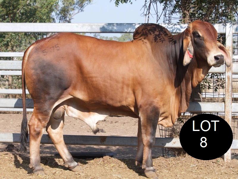Lot 8. Reef To Ranges Sale