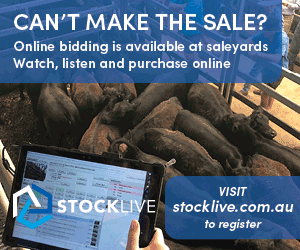 Stocklive  (1ST)