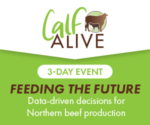 Calf Alive - Feeding the Future: Data-Driven Decisions for Northern Beef Production