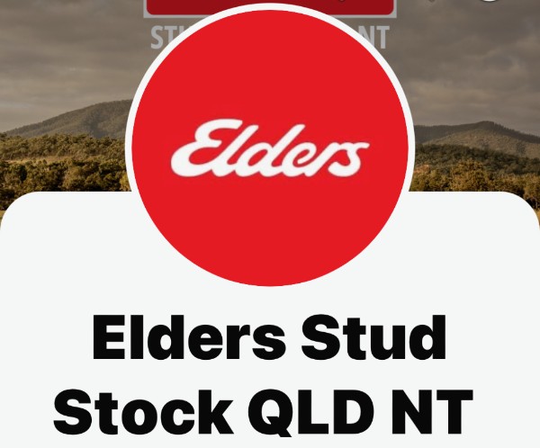 ELDERS LIVESTOCK 