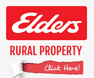 ELDERS RURAL 