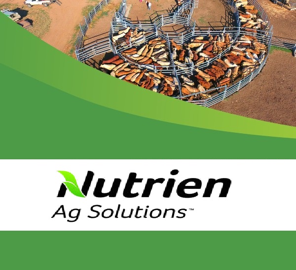 Northern Rural Group