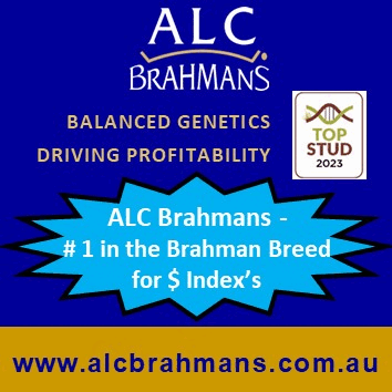 ALC SALE SPON (23)