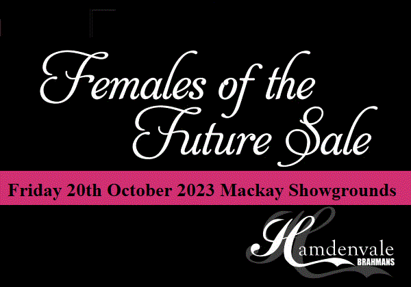 Females of the Future 