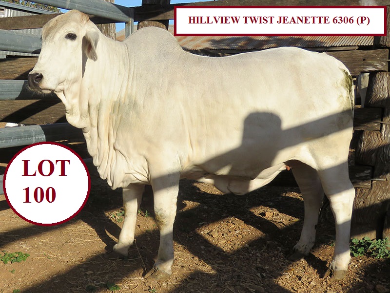 LOT 100