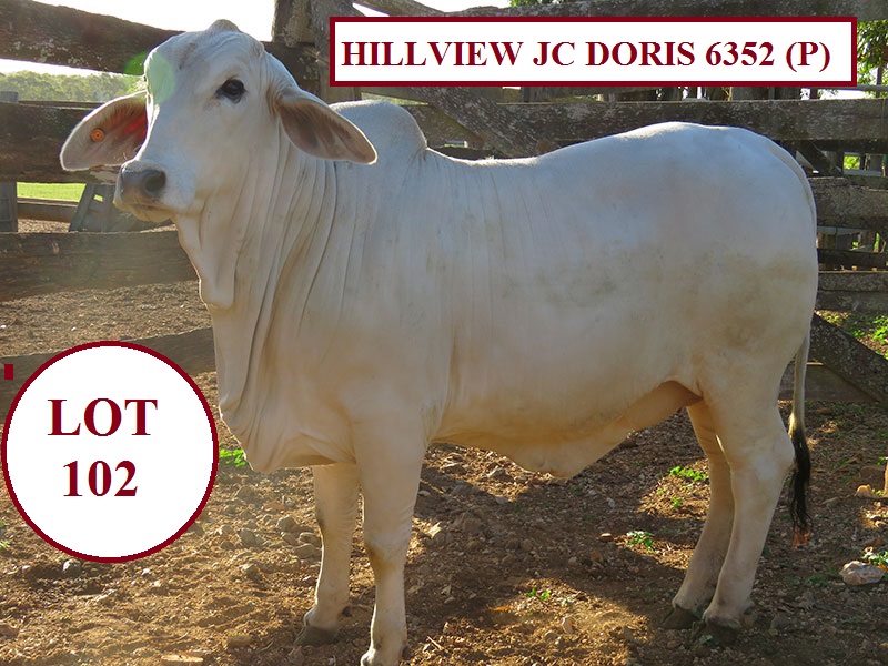 LOT 102