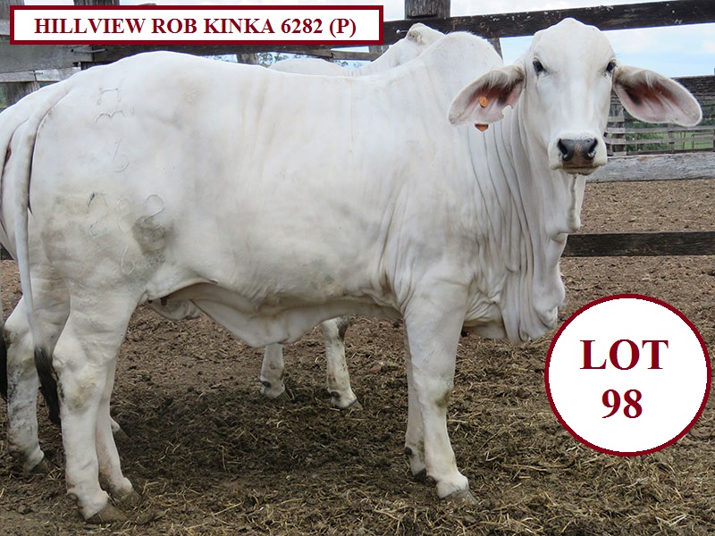 LOT 98