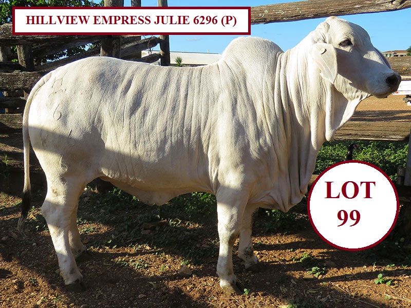 LOT 99