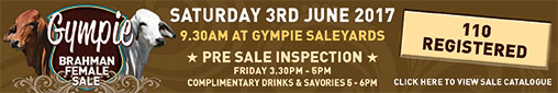 gympie female sale 2017 web banner
