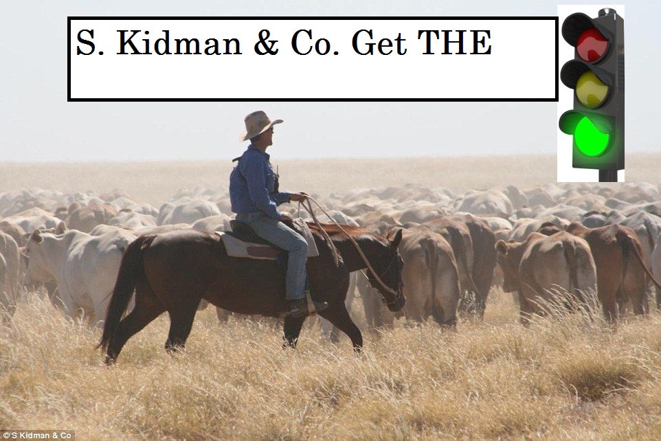 29BA8A9E00000578 3129235 Mustering cattle of one of the two properties in the Sidney Kidm a 11 1435039837275