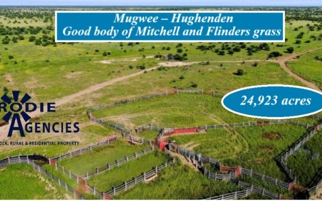 Mugwee – Hughenden