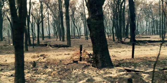 The Outback of Uncertainty.  