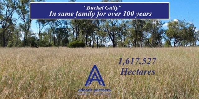 Bucket Gully  In same family for over 100 years.