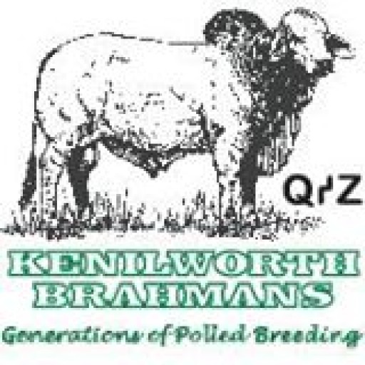 Kenilworth Brahmans 