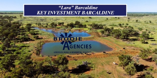 “Lara” Barcaldine 