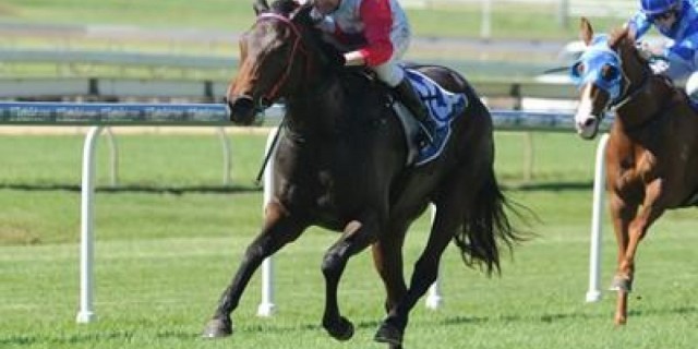   Brisbane winter carnival, the filly Shadow Lawn