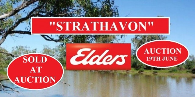 "STRATHAVON"