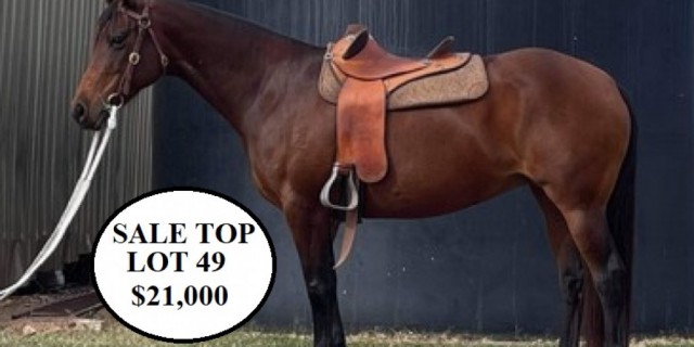 Ag-Grow Premier Horse Sale RESULTS