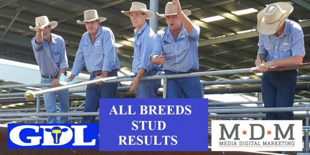 Sale Results All Breeds 