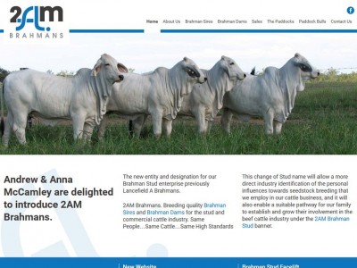 2AM Brahmans