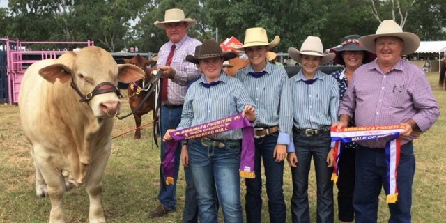 "Cordelia Brahman and Charbray Stud"