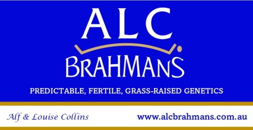 ALC BRAHMANS 