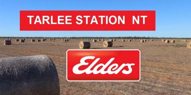 TARLEE STATION  NT