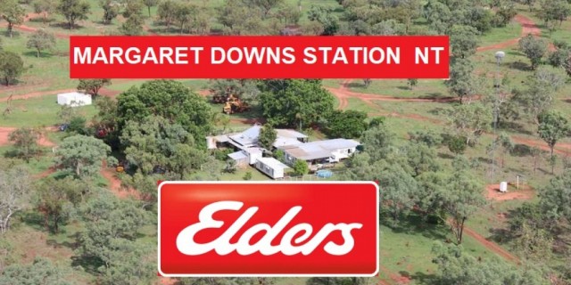 MARGARET DOWNS STATION  NT