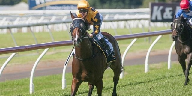  New Queensland Rocket next Our Boy Malachi