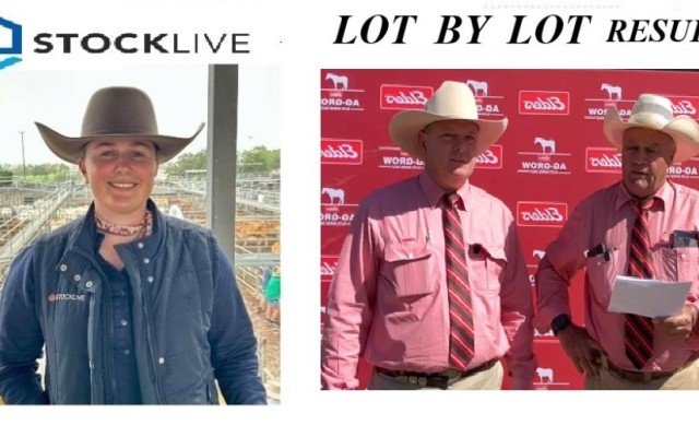 Ag-Grow Elite Horse Sale