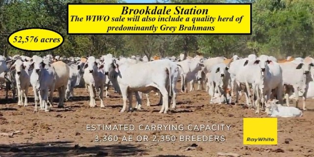 Brookdale Station