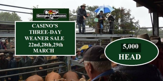 CASINO’S PREMIER THREE-DAY WEANER SALE