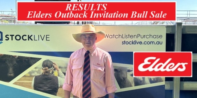  OUTBACK INVITATIONAL BULL SALE