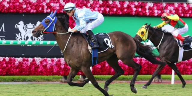 Dawson Diva Sensational Win 