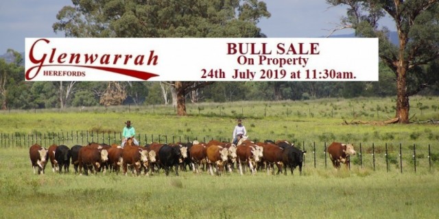 Glenwarrah Herefords  BULL SALE