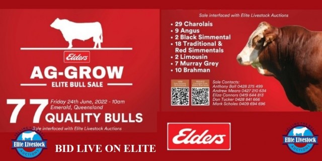 AG-GROW ELITE BULL SALE 2022....