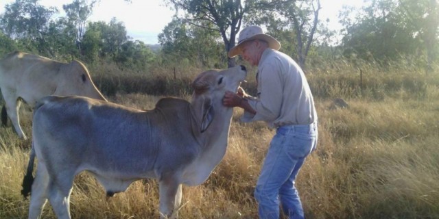 The Late Bill Wallace 
