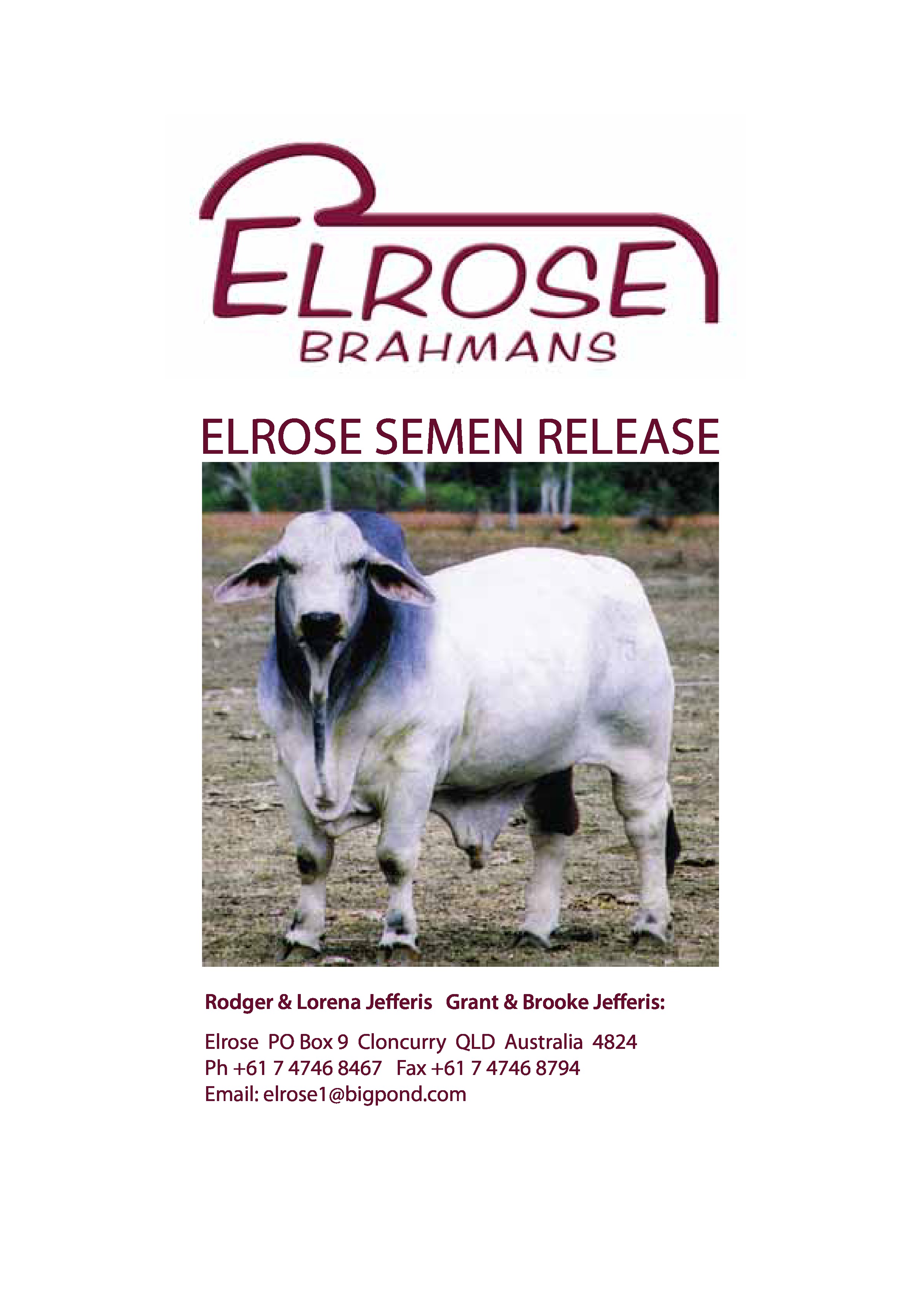 Elrose Brahman Stud