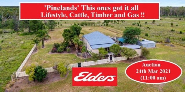 'Pinelands'